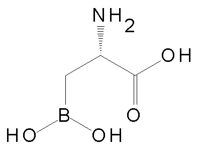 Chemical structure of 2-amino-3-boronopropionic acid