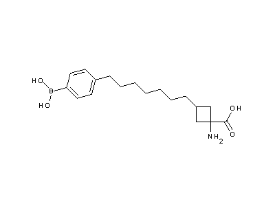 Chemical structure of 1-amino-3-[7-(4-boronophenyl)heptyl]cyclobutanecarboxylic acid