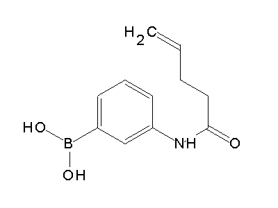 Chemical structure of N-(3'-butenylcarbonyl)-3-aminophenylboronic acid