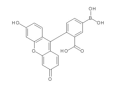Chemical structure of 5-borono-2-(3-hydroxy-6-oxoxanthen-9-yl)benzoic acid