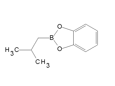 Chemical structure of 2-isobutyl-benzo[1,3,2]dioxaborole